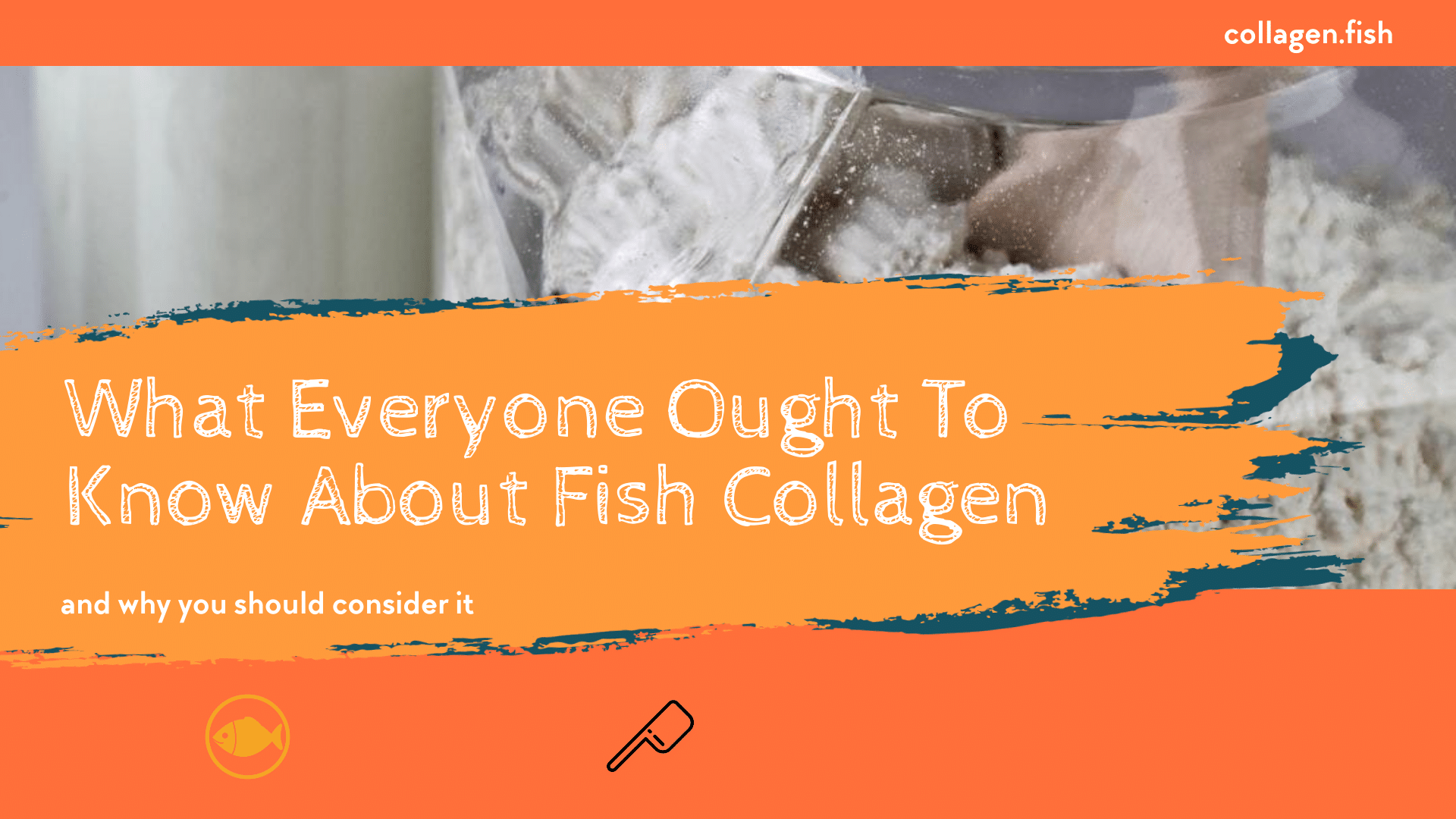 Privacy Policy All About Fish Collagen